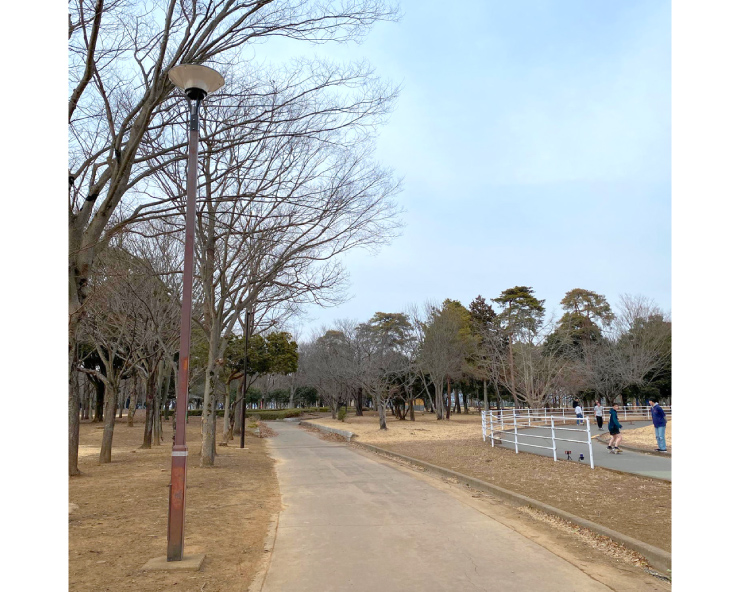 県西総合公園 照明灯修繕工事
